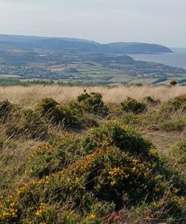 View from Beacon Hill